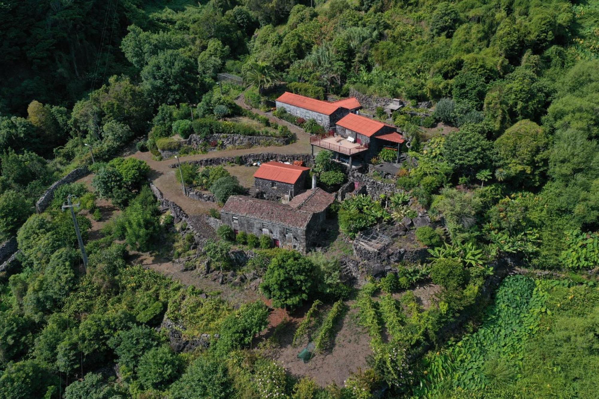 Faja dos Vimes Vistalinda Farmhouse מראה חיצוני תמונה